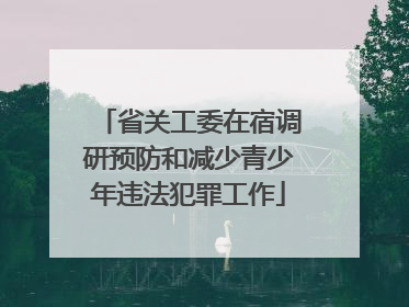 省关工委在宿调研预防和减少青少年违法犯罪工作