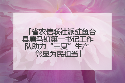 省农信联社派驻鱼台县唐马镇第一书记工作队助力“三夏”生产 彰显为民担当