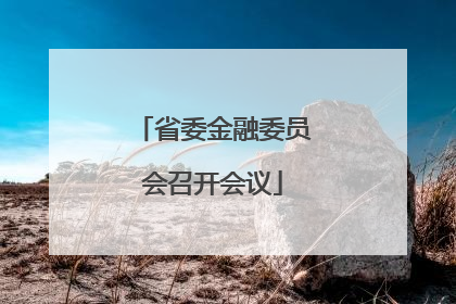 省委金融委员会召开会议
