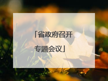 省政府召开专题会议