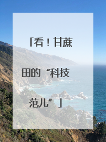 看！甘蔗田的“科技范儿”