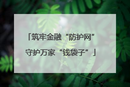 筑牢金融“防护网” 守护万家“钱袋子”