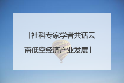 社科专家学者共话云南低空经济产业发展