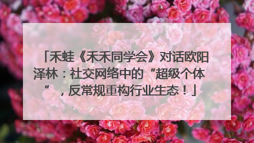 禾蛙《禾禾同学会》对话欧阳泽林：社交网络中的“超级个体”，反常规重构行业生态！