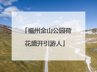 福州金山公园荷花盛开引游人