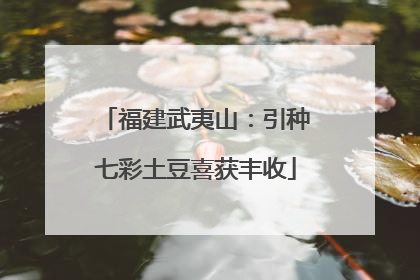 福建武夷山：引种七彩土豆喜获丰收