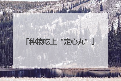 种粮吃上“定心丸”