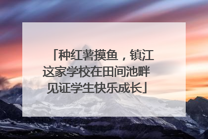 种红薯摸鱼，镇江这家学校在田间池畔见证学生快乐成长