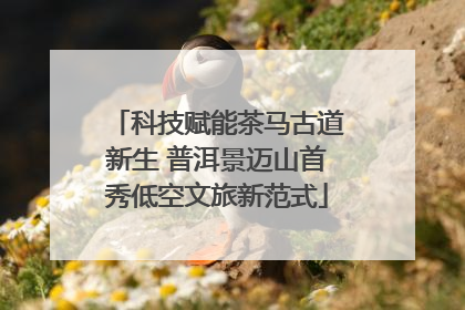科技赋能茶马古道新生 普洱景迈山首秀低空文旅新范式