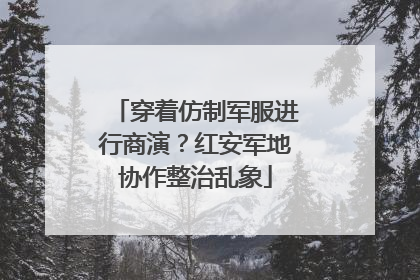 穿着仿制军服进行商演？红安军地协作整治乱象