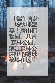 端午奔赴一场绣球盛宴！辰山植物园、共青森林公园、滨江森林公园里的绣球秘境在这里