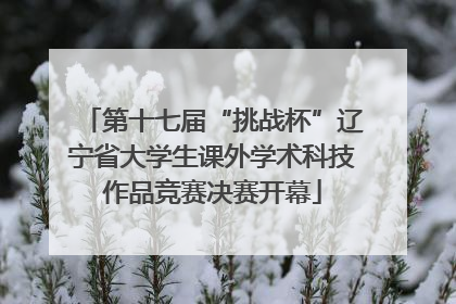 第十七届“挑战杯”辽宁省大学生课外学术科技作品竞赛决赛开幕