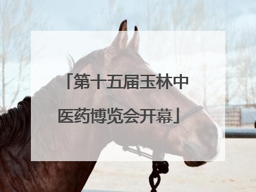 第十五届玉林中医药博览会开幕