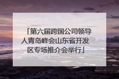 第六届跨国公司领导人青岛峰会山东省开发区专场推介会举行