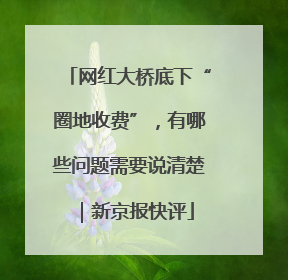 网红大桥底下“圈地收费”，有哪些问题需要说清楚｜新京报快评