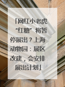 网红小老虎“红糖”将暂停展出？上海动物园：展区改建，会安排展出计划