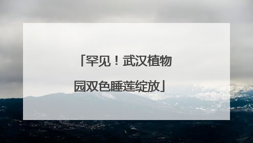 罕见！武汉植物园双色睡莲绽放