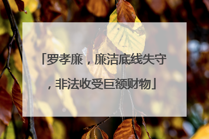 罗孝廉，廉洁底线失守，非法收受巨额财物