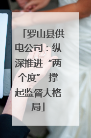 罗山县供电公司：纵深推进“两个度” 撑起监督大格局