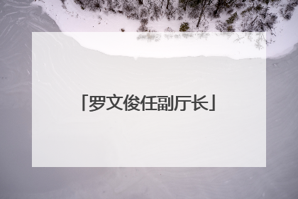 罗文俊任副厅长