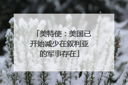 美特使：美国已开始减少在叙利亚的军事存在