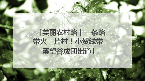 美丽农村路｜一条路带火一片村！小贺线带溪望谷成团出道