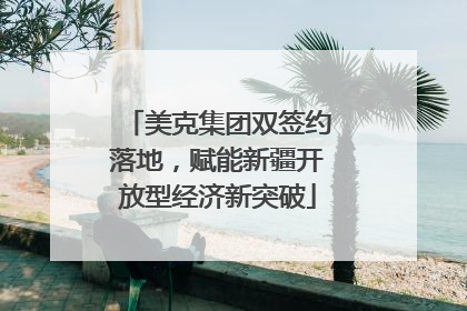 美克集团双签约落地，赋能新疆开放型经济新突破