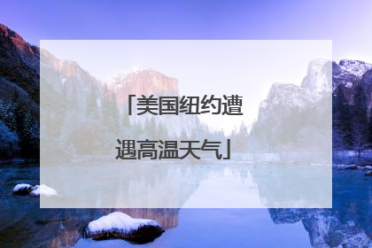 美国纽约遭遇高温天气