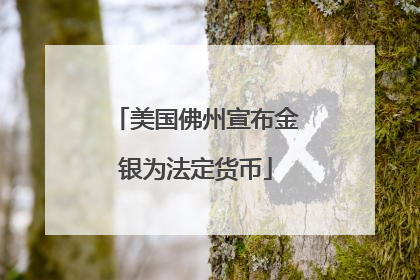 美国佛州宣布金银为法定货币