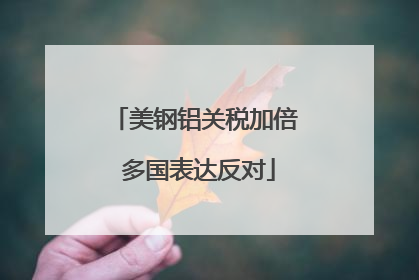 美钢铝关税加倍 多国表达反对