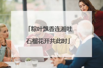 粽叶飘香连湘吐 石榴花开共此时