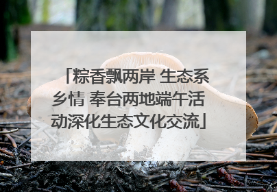 粽香飘两岸 生态系乡情 奉台两地端午活动深化生态文化交流