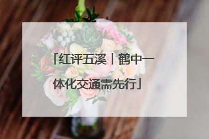 红评五溪丨鹤中一体化交通需先行