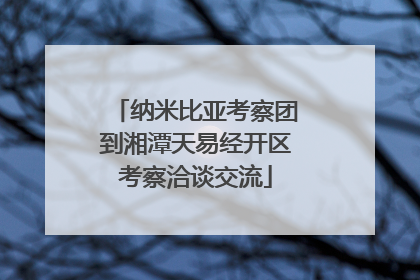 纳米比亚考察团到湘潭天易经开区考察洽谈交流