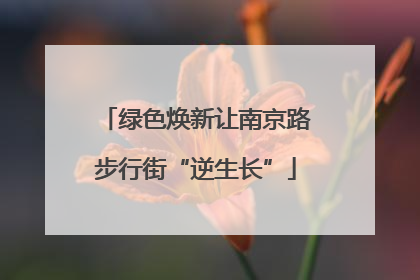 绿色焕新让南京路步行街“逆生长”