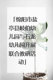 绵阳市盐亭县岐伯幼儿园与石龙幼儿园开展联合教研活动