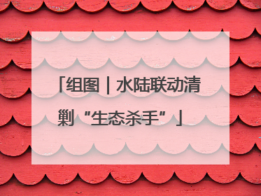 组图｜水陆联动清剿“生态杀手”