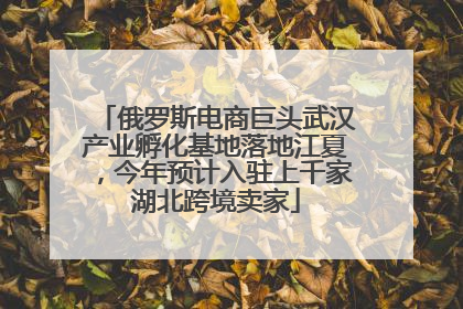 俄罗斯电商巨头武汉产业孵化基地落地江夏，今年预计入驻上千家湖北跨境卖家