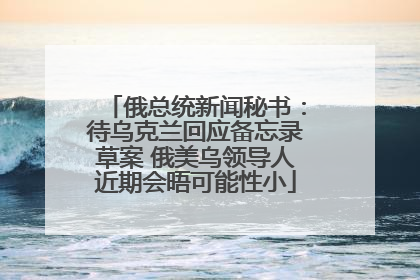 俄总统新闻秘书：待乌克兰回应备忘录草案 俄美乌领导人近期会晤可能性小