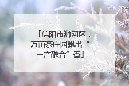 信阳市浉河区：万亩茶庄园飘出“三产融合”香