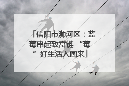 信阳市浉河区：蓝莓串起致富链 “莓”好生活入画来