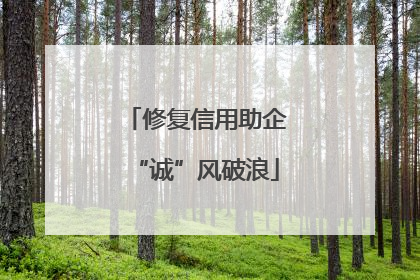 修复信用助企“诚”风破浪
