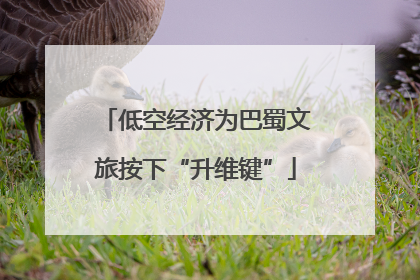 低空经济为巴蜀文旅按下“升维键”