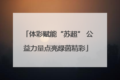 体彩赋能“苏超” 公益力量点亮绿茵精彩
