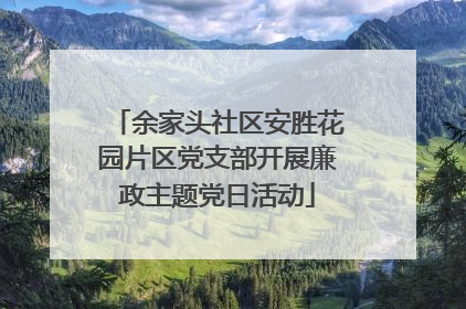余家头社区安胜花园片区党支部开展廉政主题党日活动