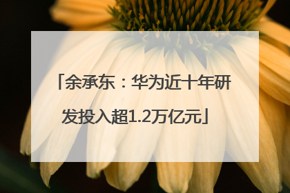 余承东：华为近十年研发投入超1.2万亿元