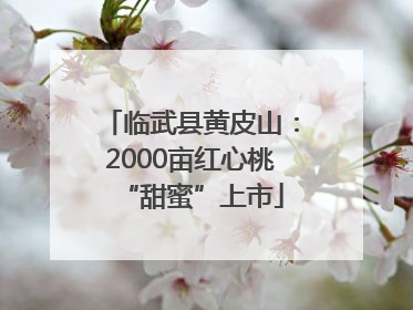 临武县黄皮山：2000亩红心桃“甜蜜”上市