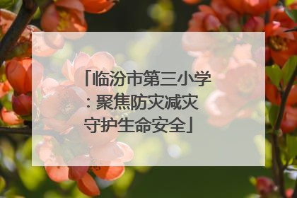 临汾市第三小学：聚焦防灾减灾 守护生命安全
