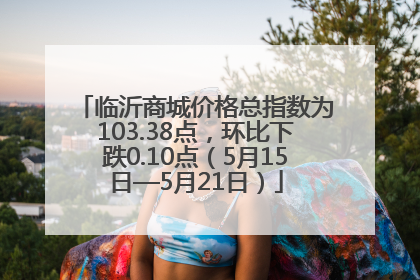 临沂商城价格总指数为103.38点，环比下跌0.10点（5月15日—5月21日）