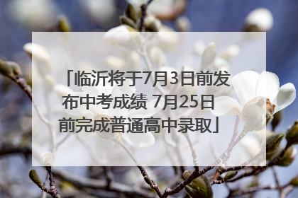 临沂将于7月3日前发布中考成绩 7月25日前完成普通高中录取